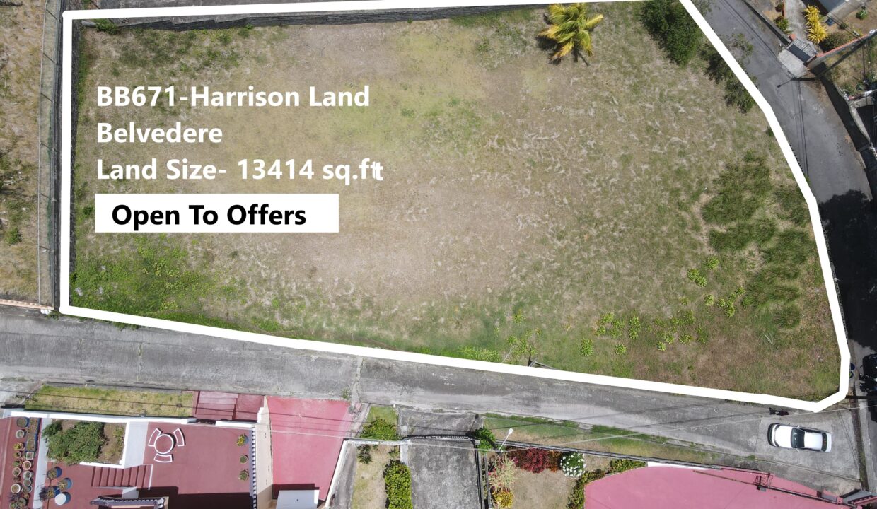 Harisson DJI_0505